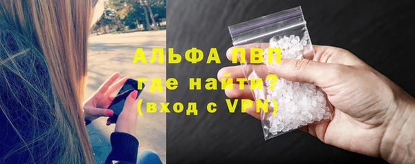 мяу мяу мука Аркадак